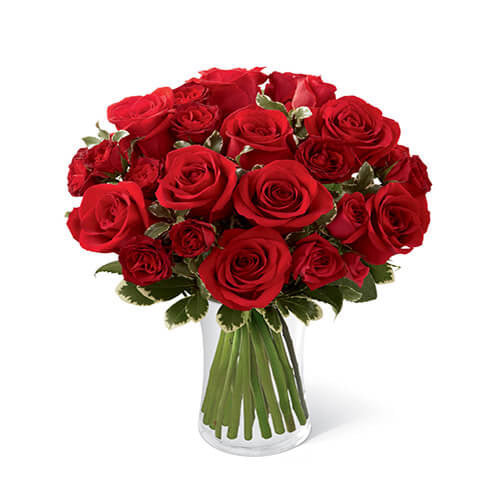 Dozen Red Rose Bqt ca x 10 bu x 12 stm